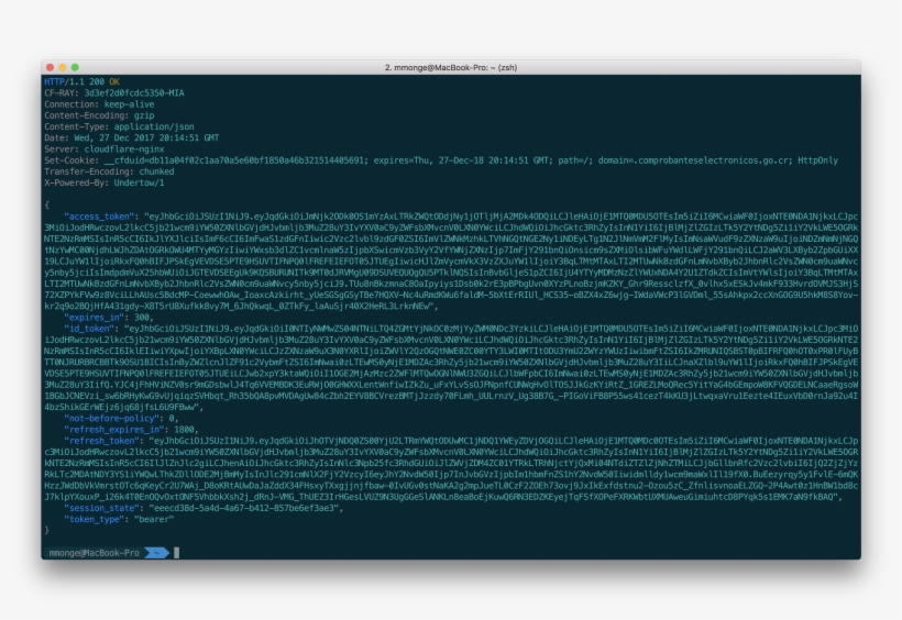 En La Respuesta Obtenida Nos Interesa Principalmente - Command-line Interface, transparent png