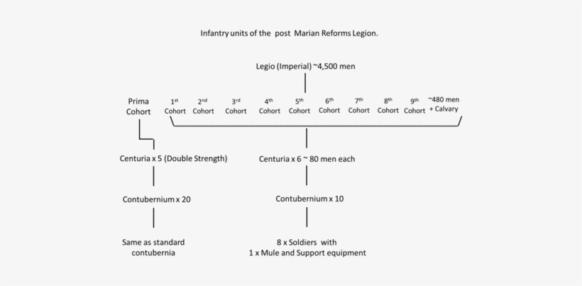 Roman Legion Wikipedia - Roman Military Units, transparent png