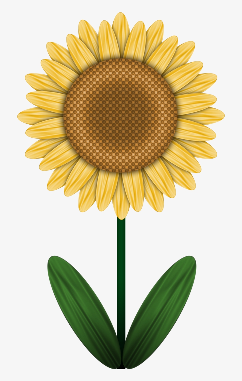 Vector Black And White Drawing Sunflower Marker - Chalktalksports Basketball Hook Personalized Basketball, transparent png