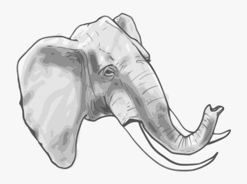 Clipart Resolution 800*700 - รูป ช้าง ลาย เส้น, transparent png