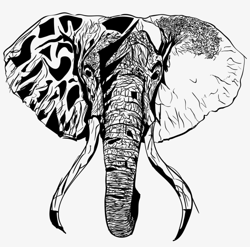 Illustration Of An Elephant's Head - Sketch, transparent png