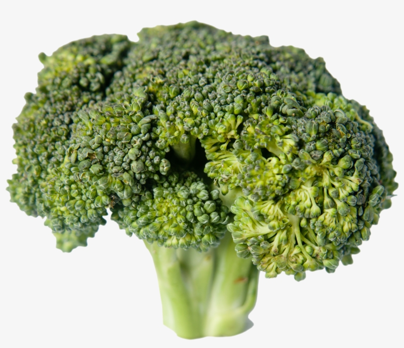 Broccoli, transparent png