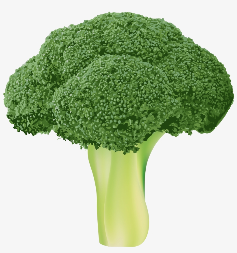 Broccoli Png, transparent png