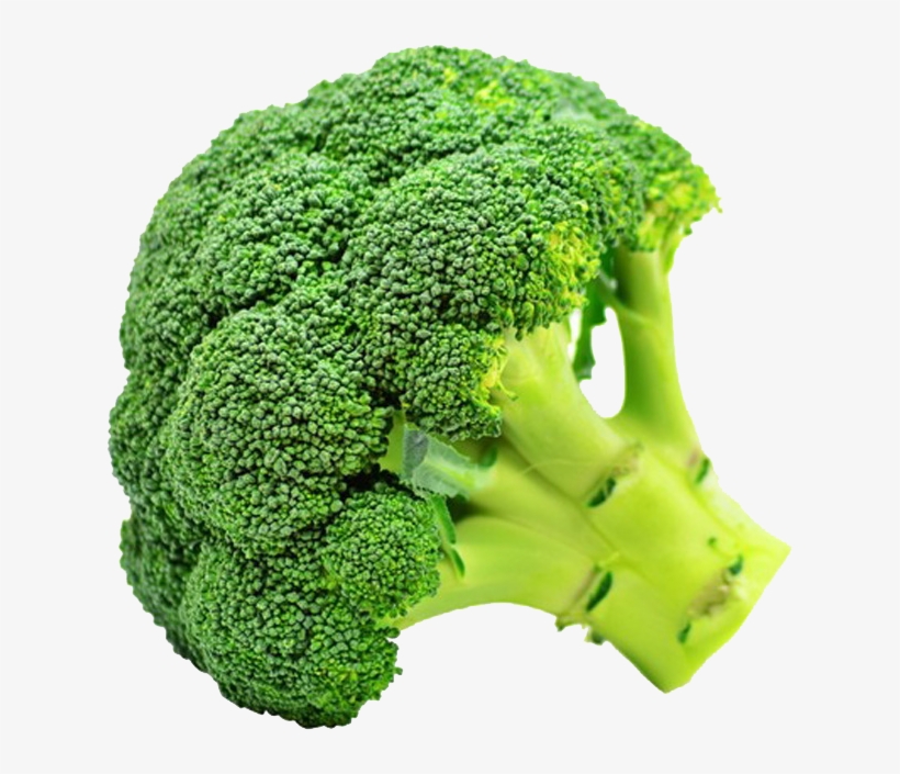 1 Piece Of Broccoli, transparent png
