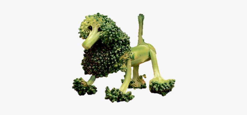 Png Transparent Poodle Broccoli - Broccoli Cows, transparent png