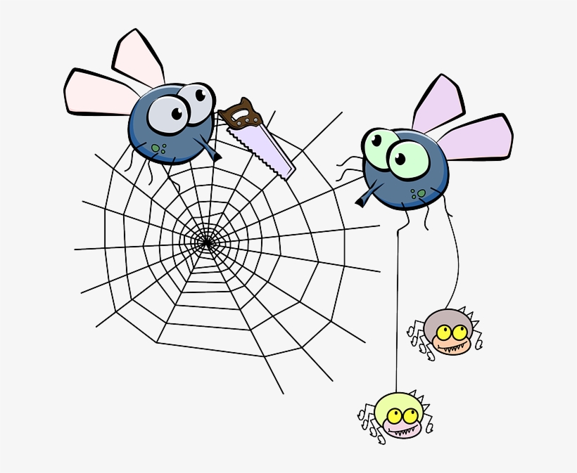 Flies, Mosquito, Spider, Insect, Spiderweb, Saw - Spider Web Clip Art, transparent png