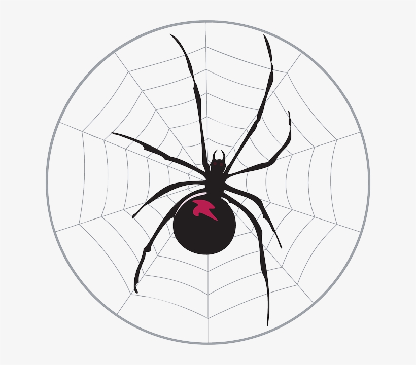 Black, Spider, Web, Widow, Legs, Arachnid - Spider In A Web Twin Duvet, transparent png