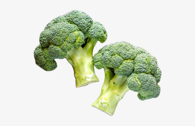 8 Delicious Vegetables For Fall Gardening - Sow Easy Broccoli De Cicco Seeds, transparent png