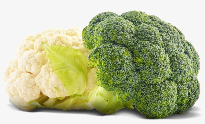 Cauliflower-broccoli - Цветная Капуста Картинки На Белом Фоне, transparent png