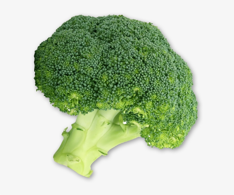 Broccoli, transparent png