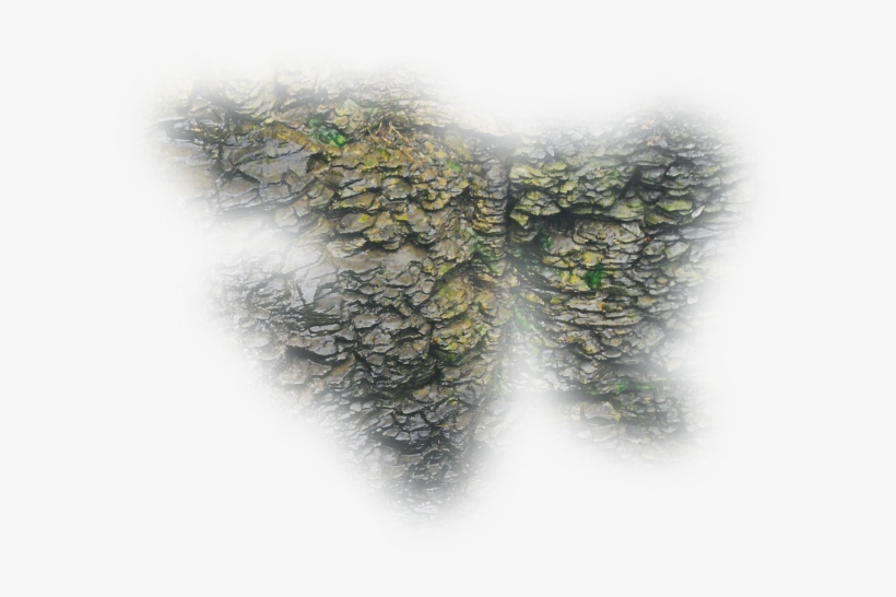 06 Feb 2009 - Dundjinni Rock, transparent png