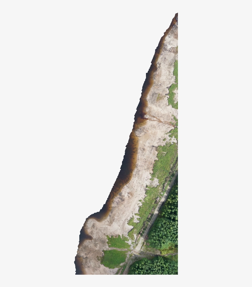 Kml Href, C00 - Sea Lettuce, transparent png