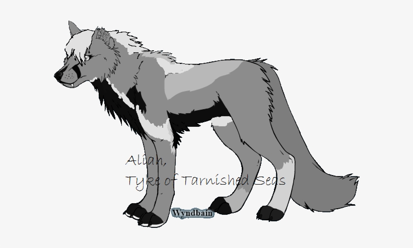 Llama - Wolf, transparent png