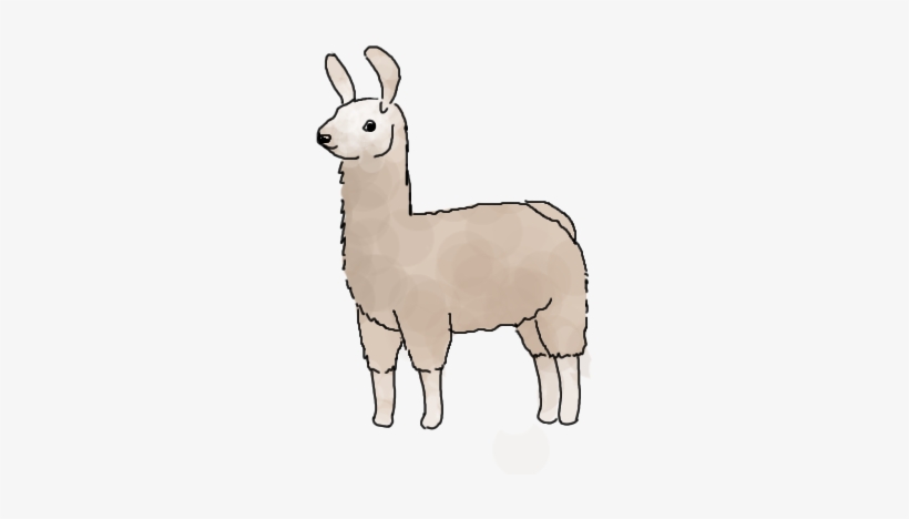 Related Image No Probllama Love Pinterest - Llama, transparent png