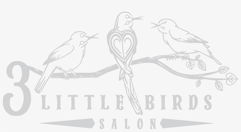 Logo - 3 Little Birds Salon, transparent png