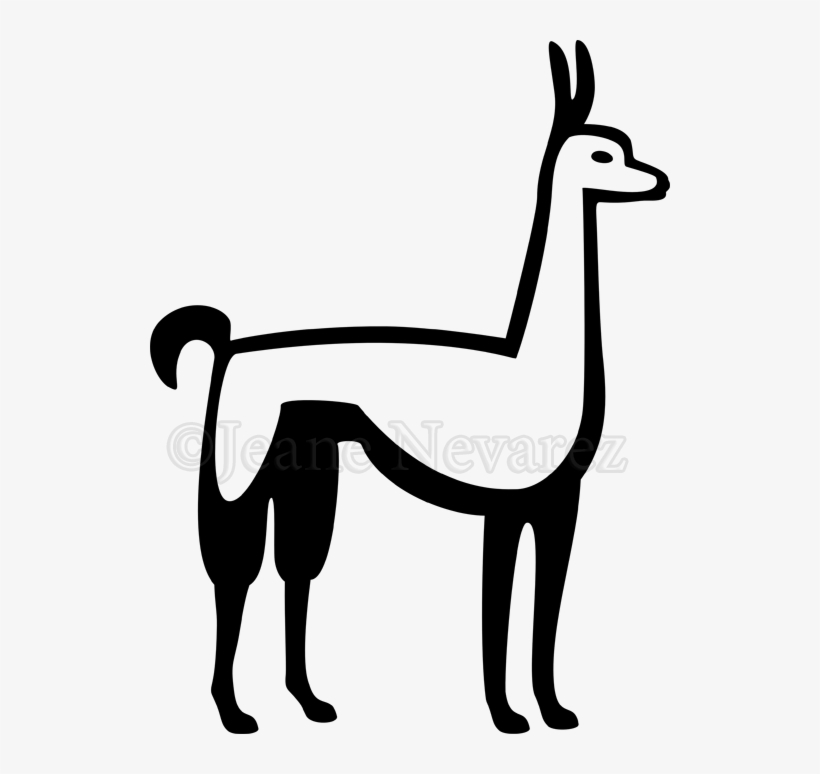 Llama - Stock Photography, transparent png