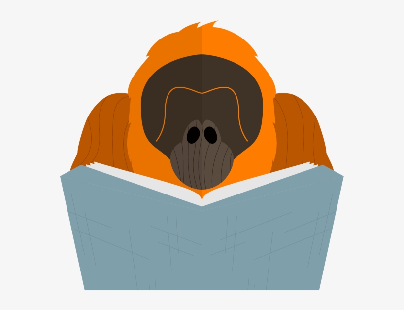 The Librarian - The, transparent png