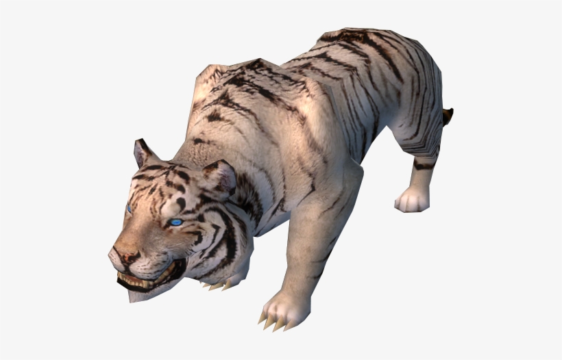White Tiger - Siberian Tiger, transparent png