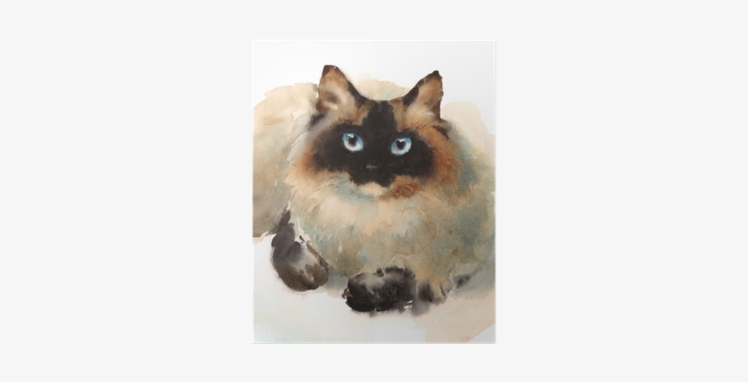 Watercolor Ragdoll Siamese Cat Pet Portrait Animal - Siamese Cat Watercolor, transparent png