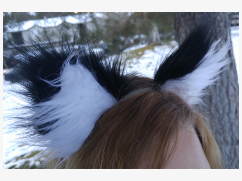 Custom Cat Ears - Horse, transparent png