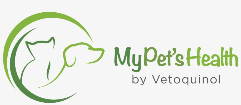 Home - Dog, transparent png