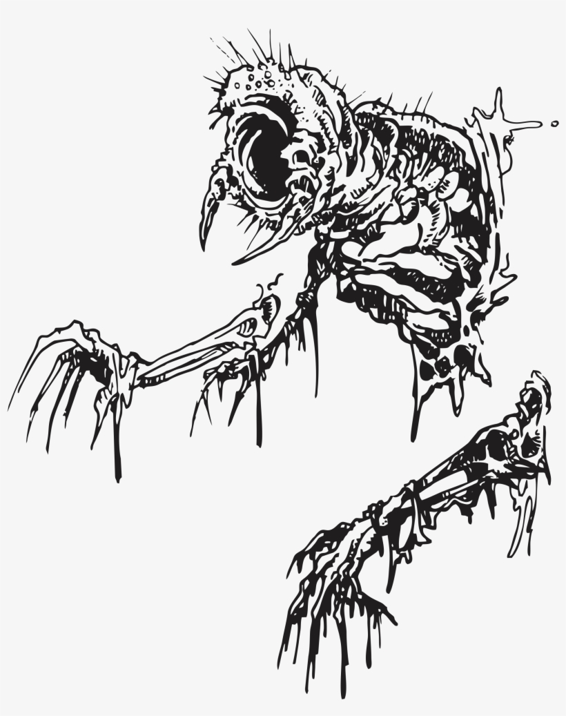 Doodle - Bird Of Prey, transparent png