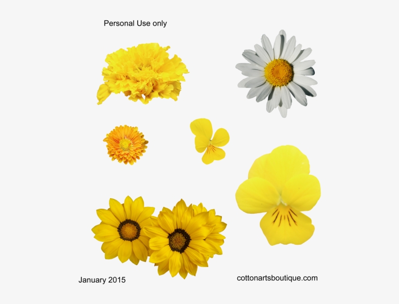 Yellow Flowers - Cotton, transparent png