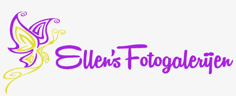 Graphic Design, transparent png