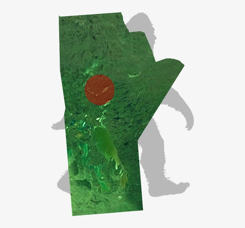 Manitoba-bigfoot - Illustration, transparent png