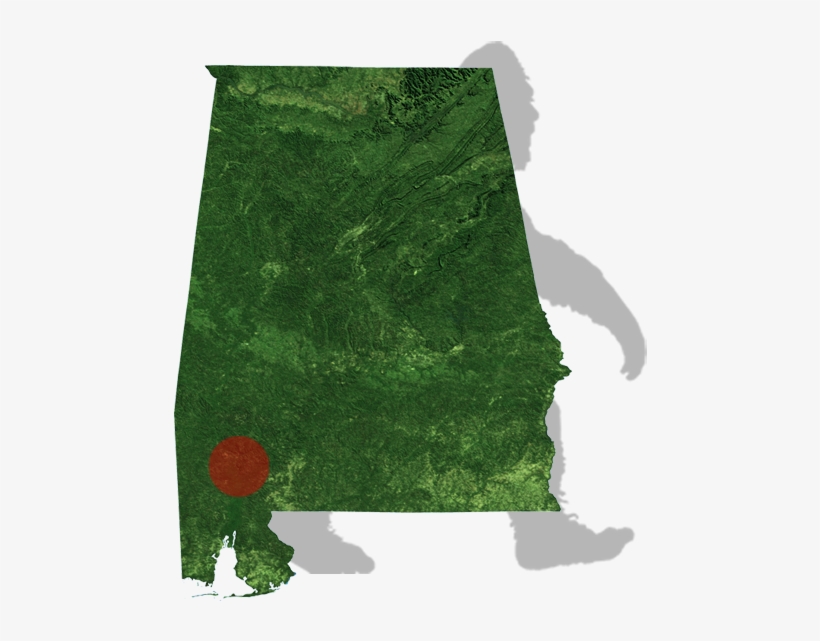 Alabama Bigfoot Map - Christmas Tree, transparent png