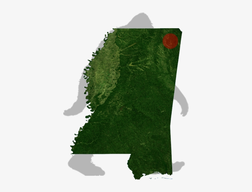 Mississipi Iuka Bigfoot Map - Map Of Mississippi, transparent png