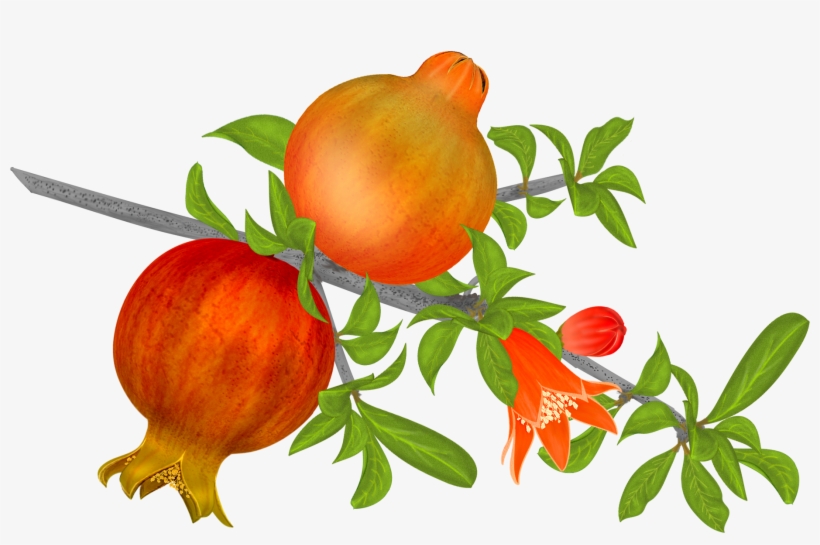 Png Library Stock Free Pomegranates Png Graphics Pinterest - Akshar Gyan Swar - Hindi, transparent png