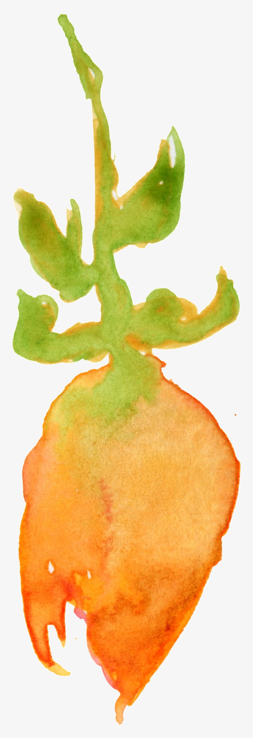 Crystal Orange Flower Transparent Decorative - Watercolor Paint, transparent png