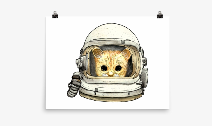 Space Kitteh No - Cat, transparent png