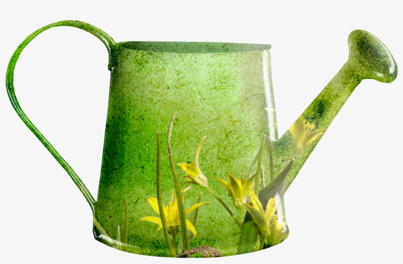 Clip Art Free Library Garden Flower Clip Art Green - Spring Flower Watering Can, transparent png