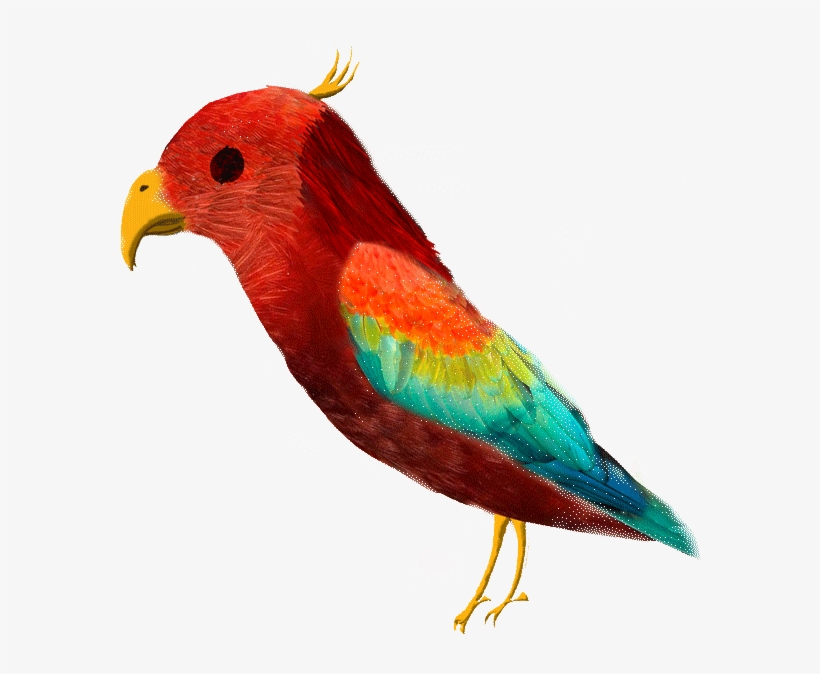 Birds - Macaw, transparent png
