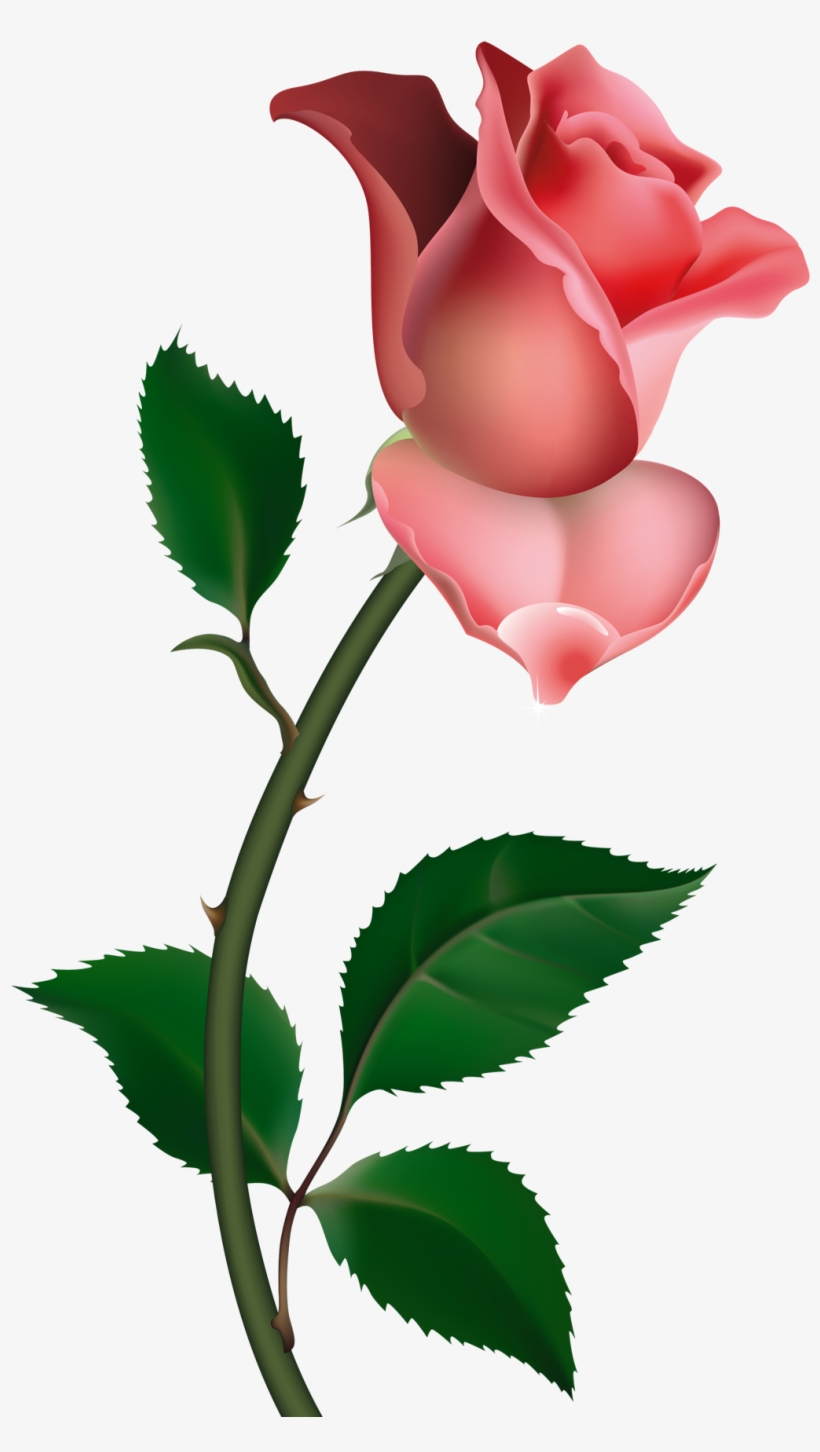 Painting, Pink Roses, Rose Buds, Clip Art, Flower Art, - Clip Art Rose, transparent png