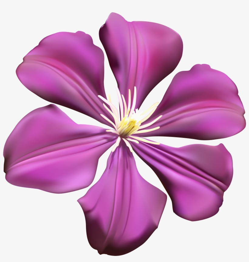 Transparent Background Flower Clipart, transparent png