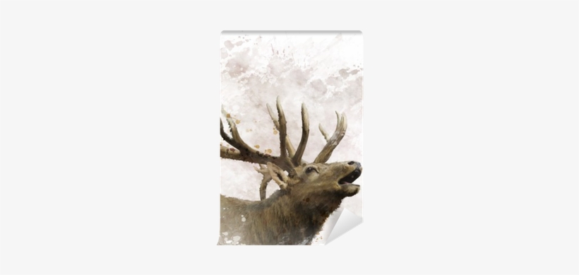 Art Print: Sunnys's Bull Elk Watercolor, 30x30cm., transparent png