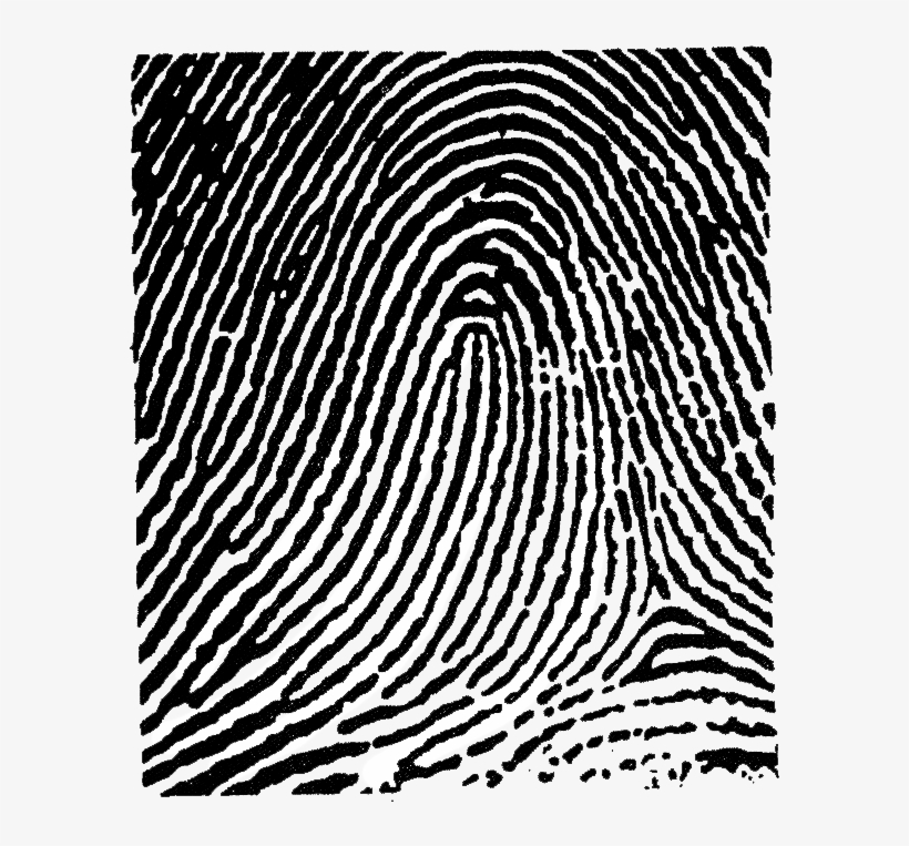 This Image Used For Decorative Purposes Only - Loop Fingerprint, transparent png
