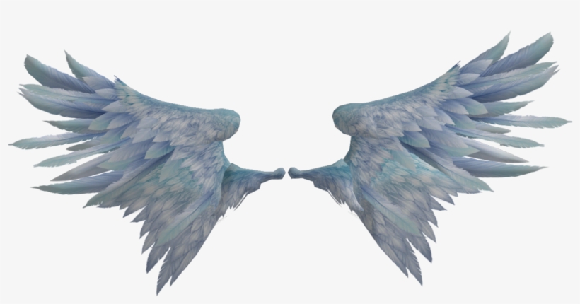 Bird Wings Png - Realistic Angel Wings Png, transparent png