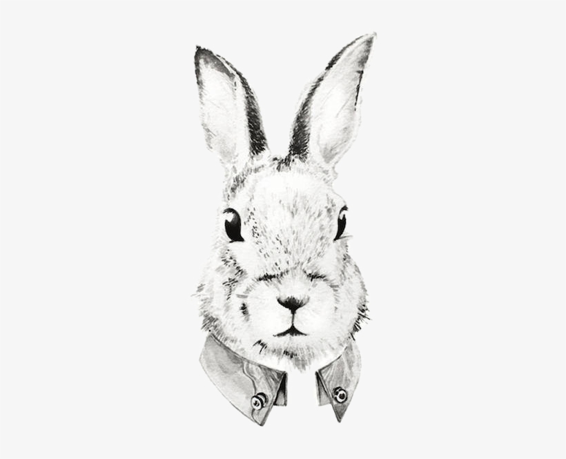 Domestic Rabbit Watercolor Painting Illustration Transprent - Rabbit, transparent png