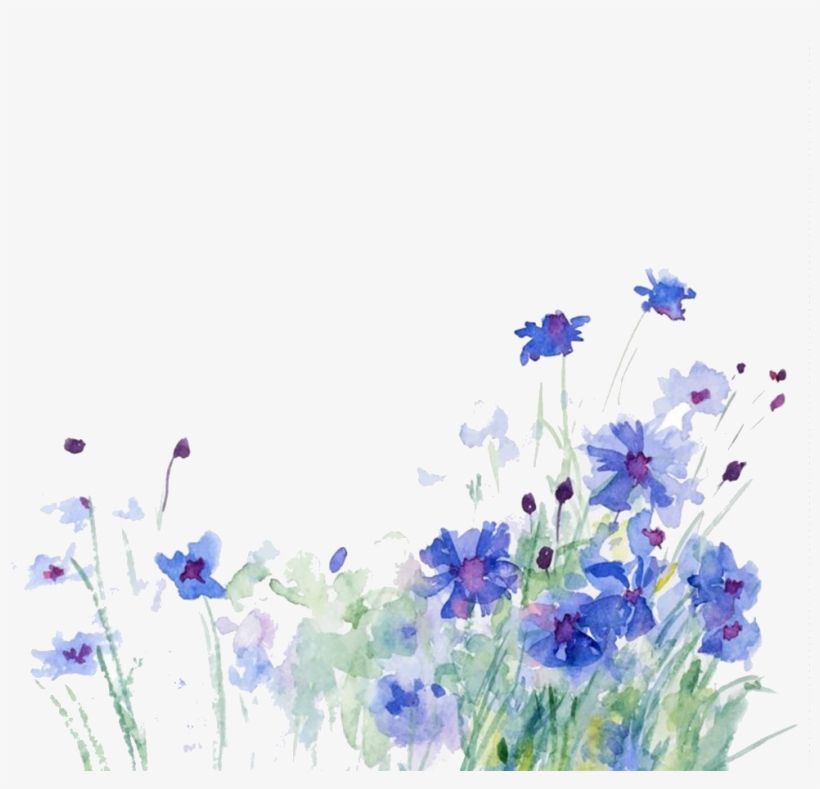 Cornflower Drawing Watercolor - You Have A Friend Who Checks, transparent png