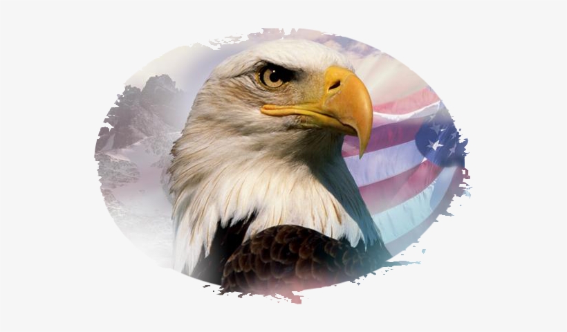Zjadpop - Beautiful America - Trade Paperback, transparent png
