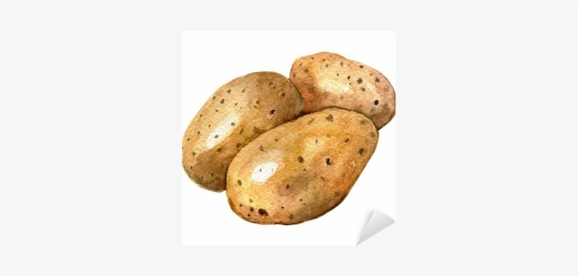 Pommes De Terre En Aquarelle, transparent png