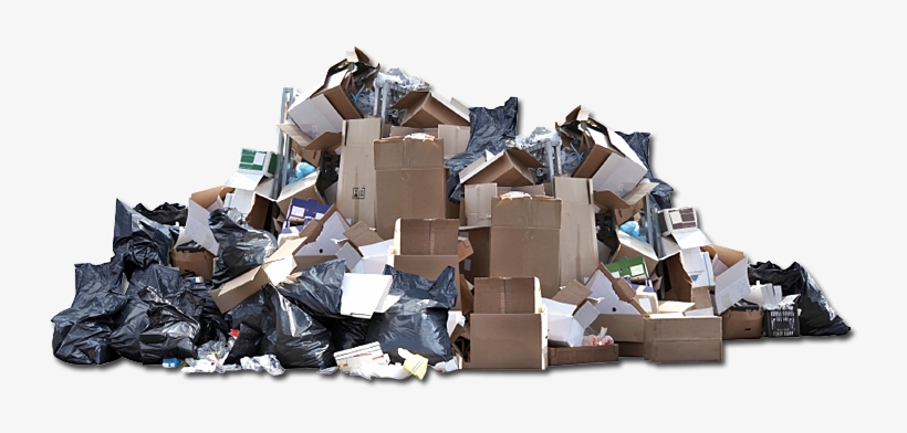 Link - Rising Above The Rubbish By Kaylin A. Haynes, transparent png