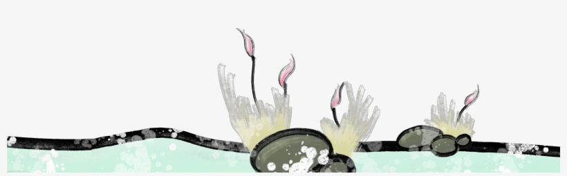 If You Want To Follow Our Future Projects, See Some - Artificial Flower, transparent png