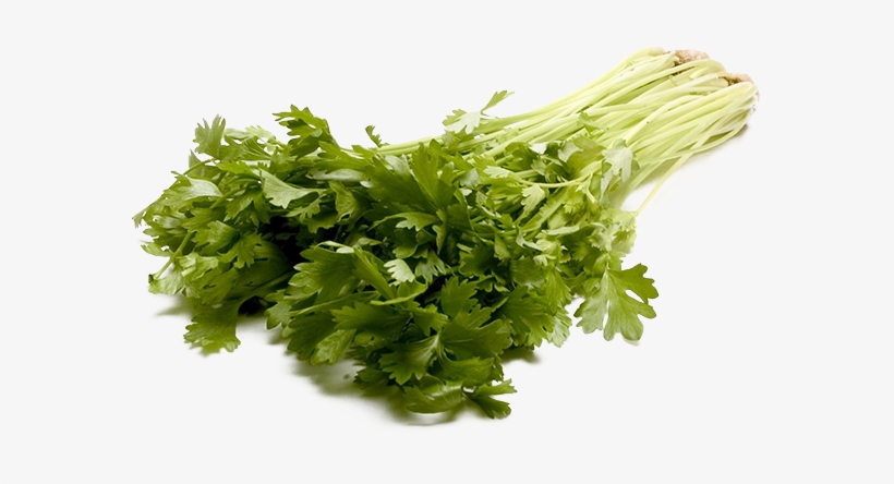 Celery Transparent Watercolor - Large Stalk Celery Png, transparent png