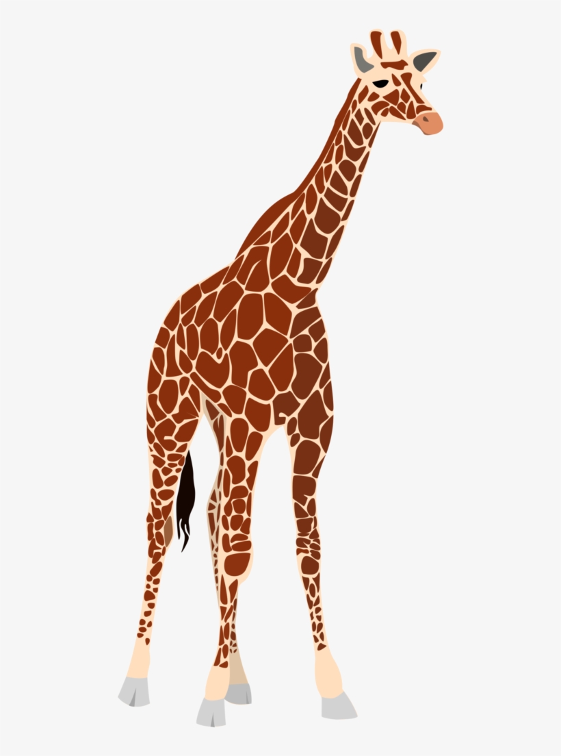 Another Giraffe Png Images 281 X, transparent png