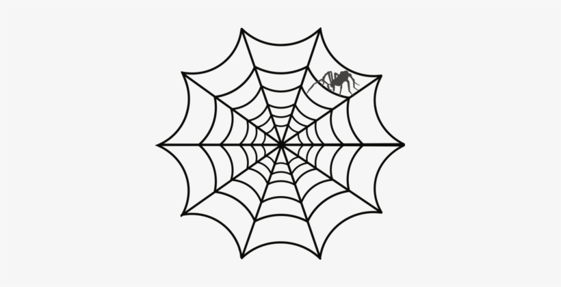 Spider Web Drawing Web Design Australian Funnel-web - Tela De Araña Dibujo, transparent png